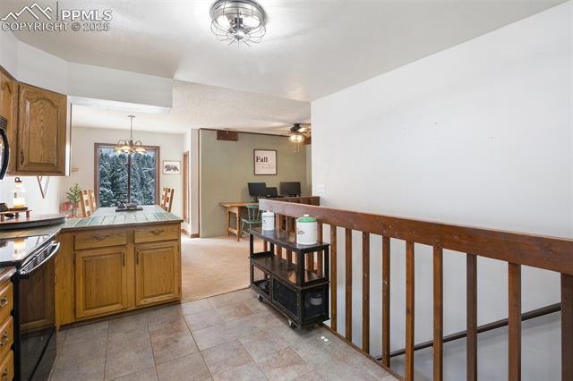 MLS Image for 208  Illini  ,Woodland Park, Colorado