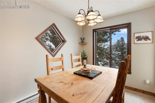 MLS Image for 208  Illini  ,Woodland Park, Colorado
