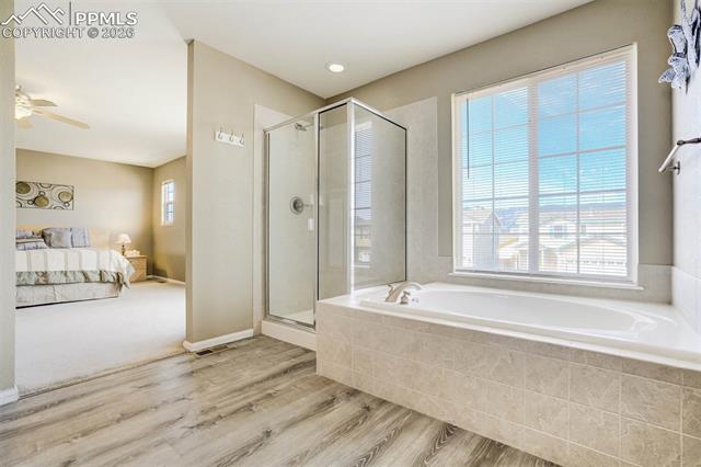 MLS Image for 14225  Woodrock  ,Colorado Springs, Colorado