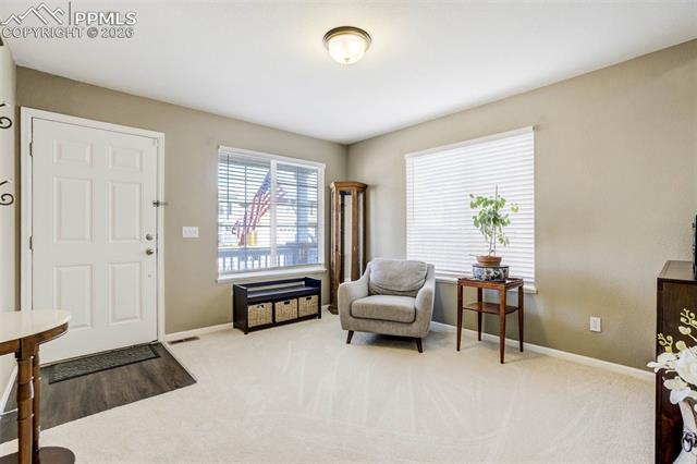 MLS Image for 14225  Woodrock  ,Colorado Springs, Colorado