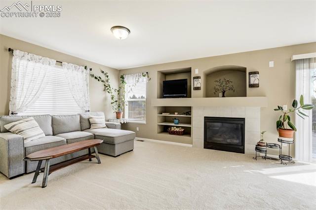 MLS Image for 14225  Woodrock  ,Colorado Springs, Colorado