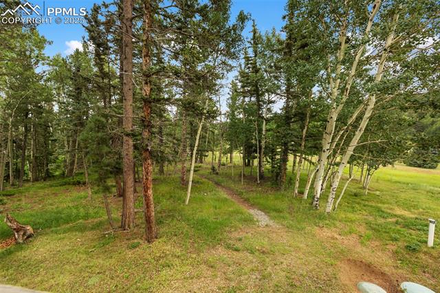 MLS Image for 50  Worley  ,Divide, Colorado