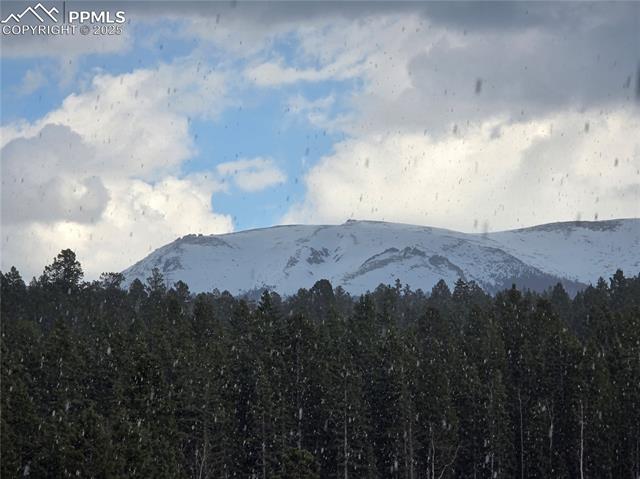MLS Image for 50  Worley  ,Divide, Colorado