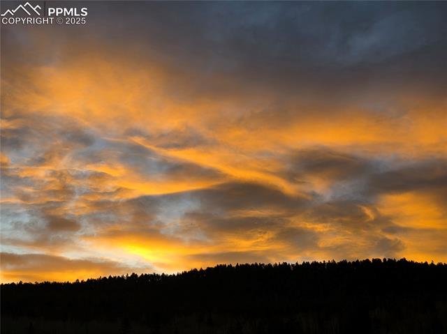 MLS Image for 50  Worley  ,Divide, Colorado