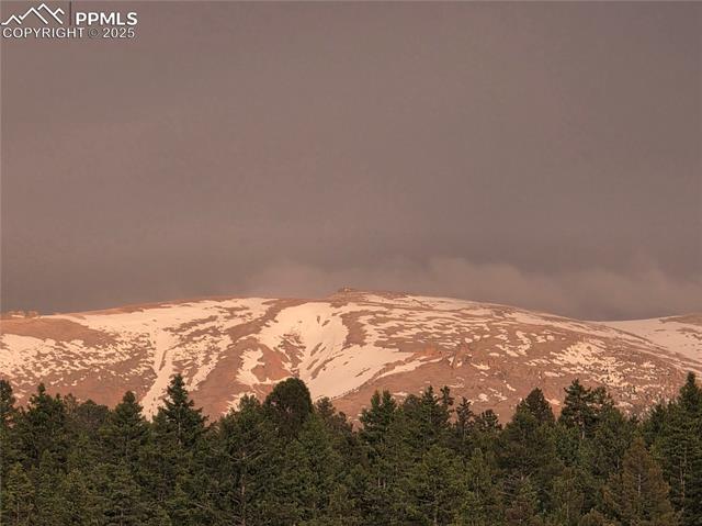 MLS Image for 50  Worley  ,Divide, Colorado