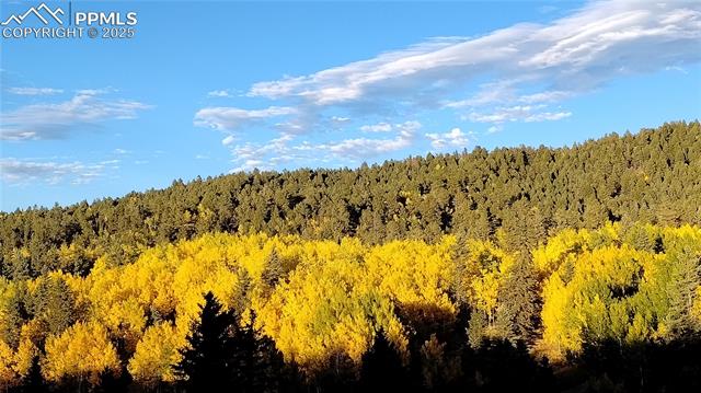 MLS Image for 50  Worley  ,Divide, Colorado