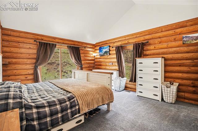 MLS Image for 220  Rocky Mountain  ,Divide, Colorado
