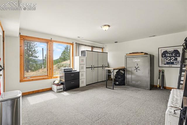 MLS Image for 220  Rocky Mountain  ,Divide, Colorado