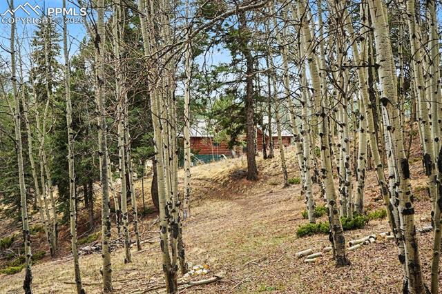 MLS Image for 220  Rocky Mountain  ,Divide, Colorado
