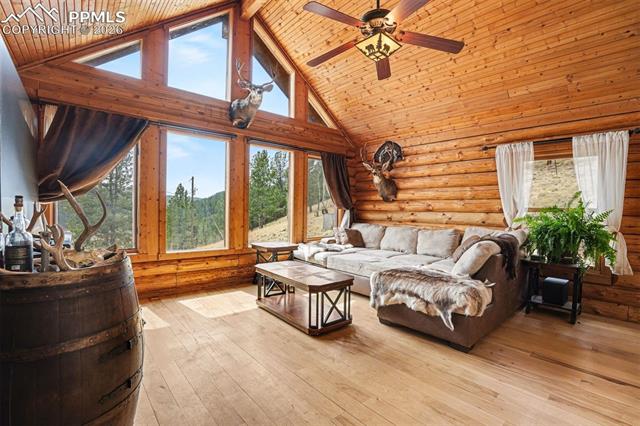 MLS Image for 220  Rocky Mountain  ,Divide, Colorado