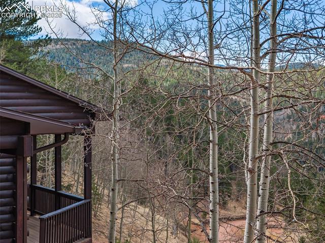 MLS Image for 60  Beaver Pond  ,Divide, Colorado