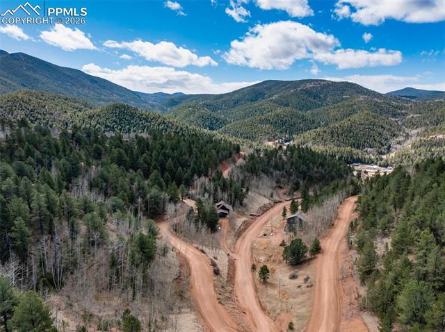 MLS Image for 60  Beaver Pond  ,Divide, Colorado