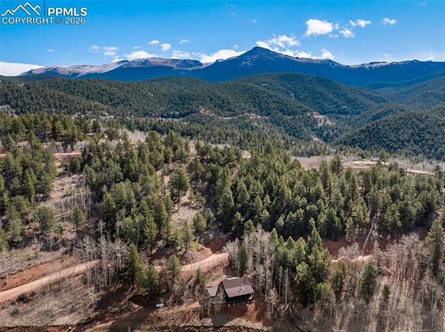 MLS Image for 60  Beaver Pond  ,Divide, Colorado