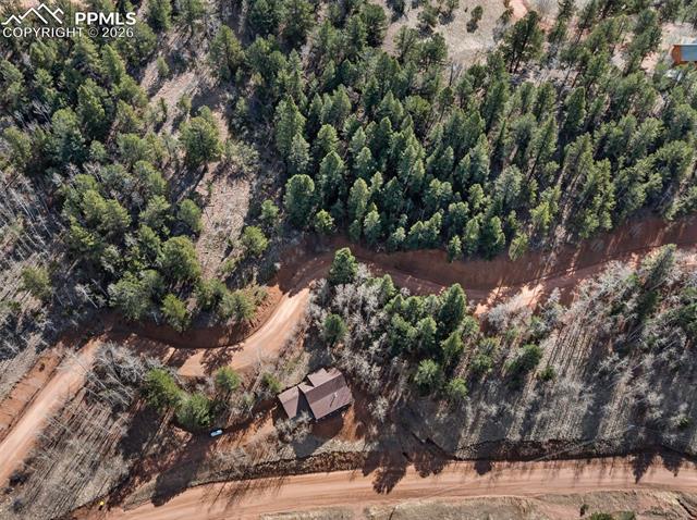 MLS Image for 60  Beaver Pond  ,Divide, Colorado