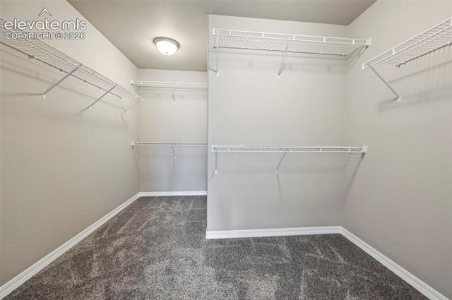 MLS Image for 6007  Wendy Stream  ,Colorado Springs, Colorado