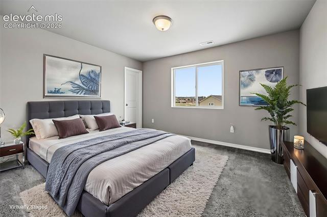 MLS Image for 6007  Wendy Stream  ,Colorado Springs, Colorado