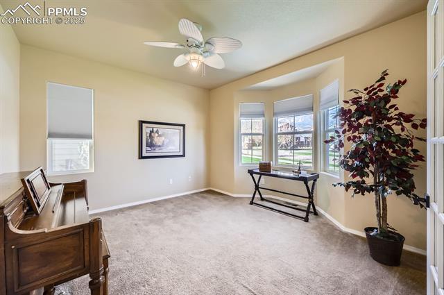 MLS Image for 253 S Raven Mine  ,Colorado Springs, Colorado