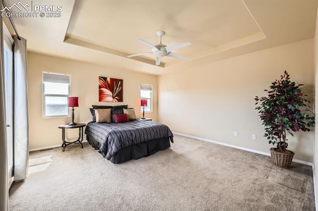 MLS Image for 253 S Raven Mine  ,Colorado Springs, Colorado