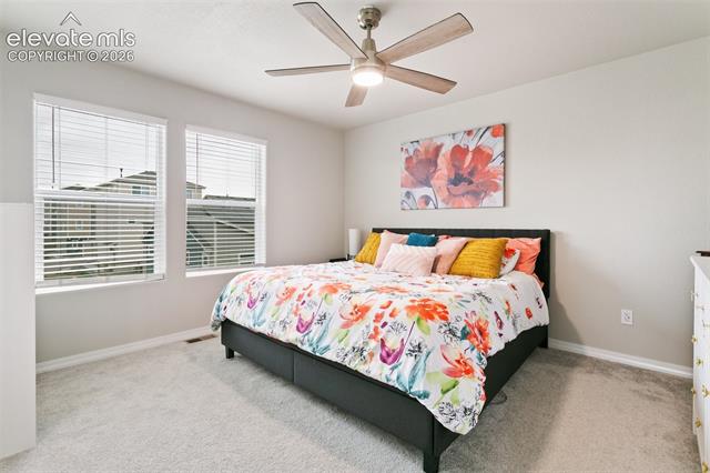 MLS Image for 7427  Gorgeted Quail  ,Colorado Springs, Colorado