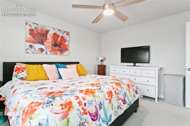 MLS Image for 7427  Gorgeted Quail  ,Colorado Springs, Colorado