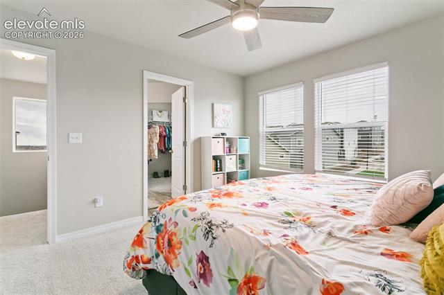 MLS Image for 7427  Gorgeted Quail  ,Colorado Springs, Colorado