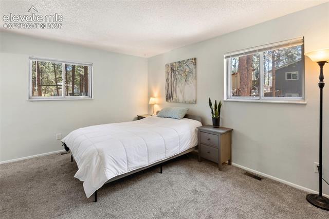 MLS Image for 723 N Center  ,Woodland Park, Colorado