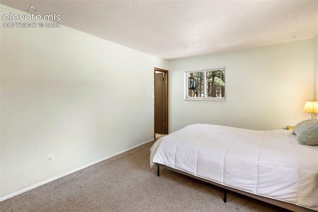 MLS Image for 723 N Center  ,Woodland Park, Colorado