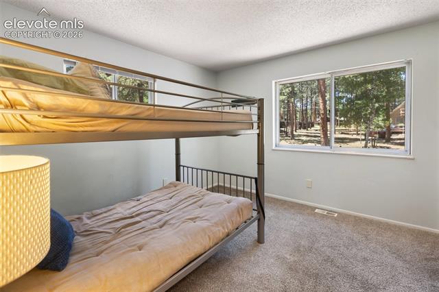 MLS Image for 723 N Center  ,Woodland Park, Colorado
