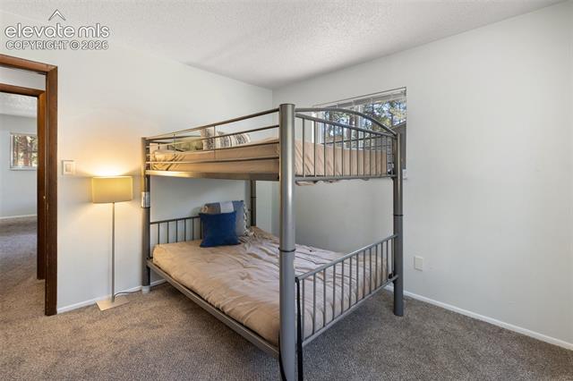 MLS Image for 723 N Center  ,Woodland Park, Colorado