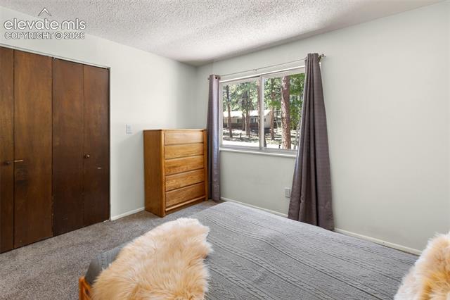 MLS Image for 723 N Center  ,Woodland Park, Colorado
