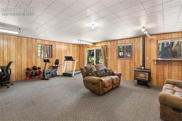 MLS Image for 723 N Center  ,Woodland Park, Colorado