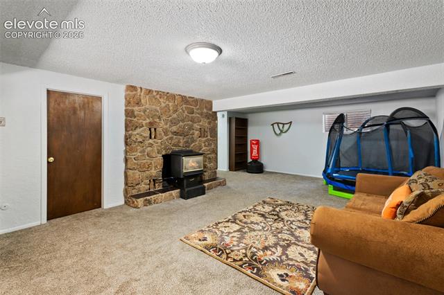 MLS Image for 723 N Center  ,Woodland Park, Colorado