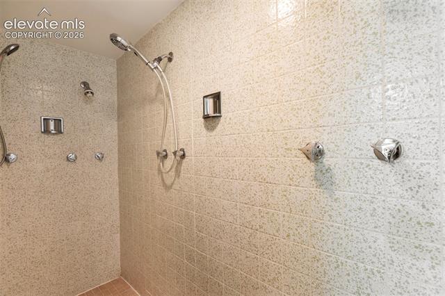 MLS Image for 723 N Center  ,Woodland Park, Colorado