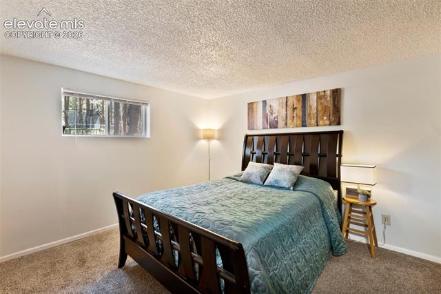MLS Image for 723 N Center  ,Woodland Park, Colorado