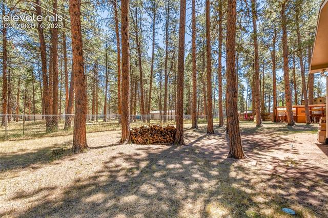 MLS Image for 723 N Center  ,Woodland Park, Colorado