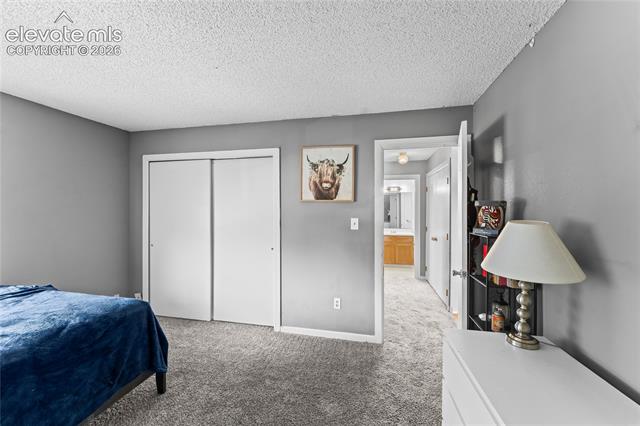 MLS Image for 4323  Hawks Lookout   ,Colorado Springs, Colorado
