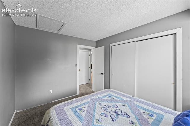 MLS Image for 4323  Hawks Lookout   ,Colorado Springs, Colorado