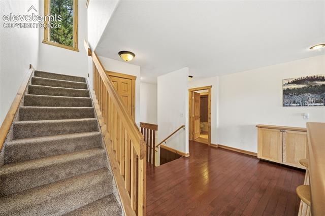 MLS Image for 605  Obsidian  ,Florissant, Colorado