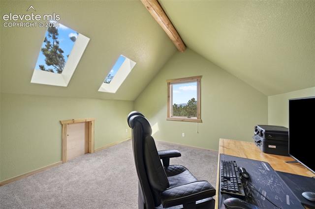 MLS Image for 605  Obsidian  ,Florissant, Colorado