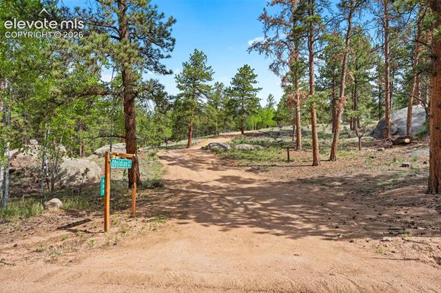 MLS Image for 605  Obsidian  ,Florissant, Colorado