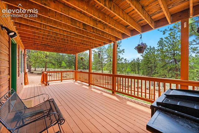 MLS Image for 605  Obsidian  ,Florissant, Colorado