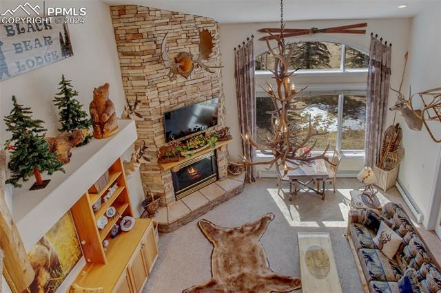 MLS Image for 725  Sun Valley  ,Woodland Park, Colorado