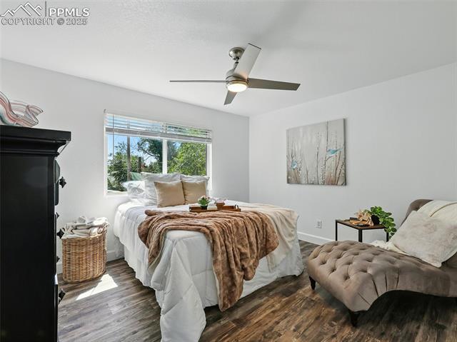 MLS Image for 823  Sequoia  ,Colorado Springs, Colorado