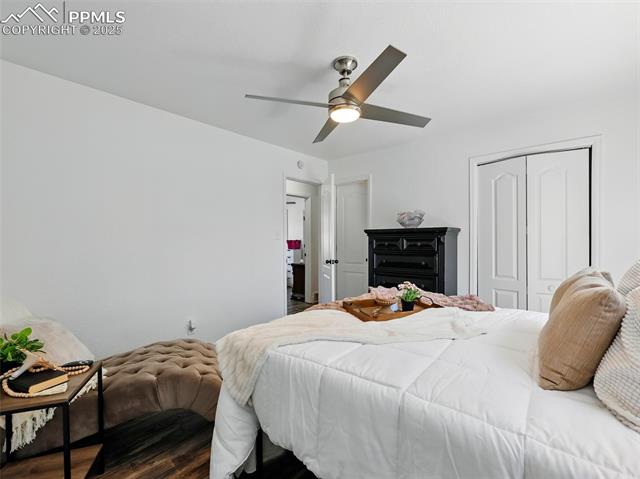 MLS Image for 823  Sequoia  ,Colorado Springs, Colorado