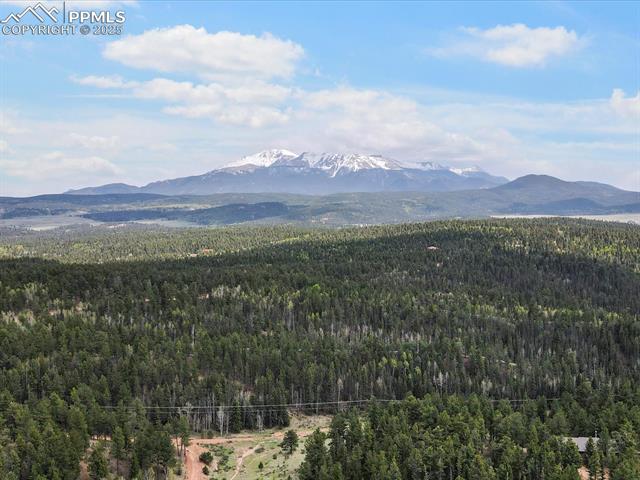 MLS Image for 103  Alpine  ,Woodland Park, Colorado