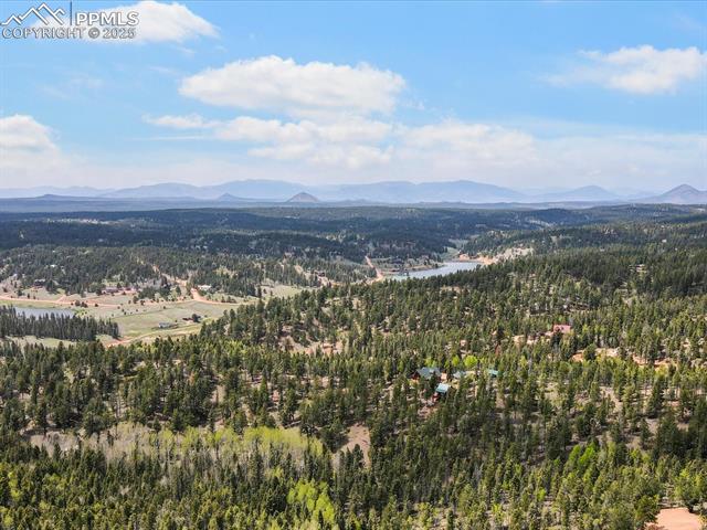 MLS Image for 103  Alpine  ,Woodland Park, Colorado