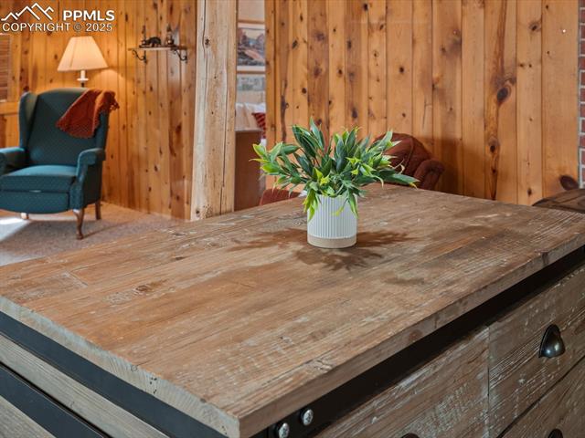 MLS Image for 103  Alpine  ,Woodland Park, Colorado