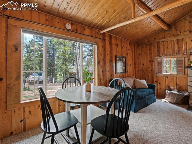 MLS Image for 103  Alpine  ,Woodland Park, Colorado