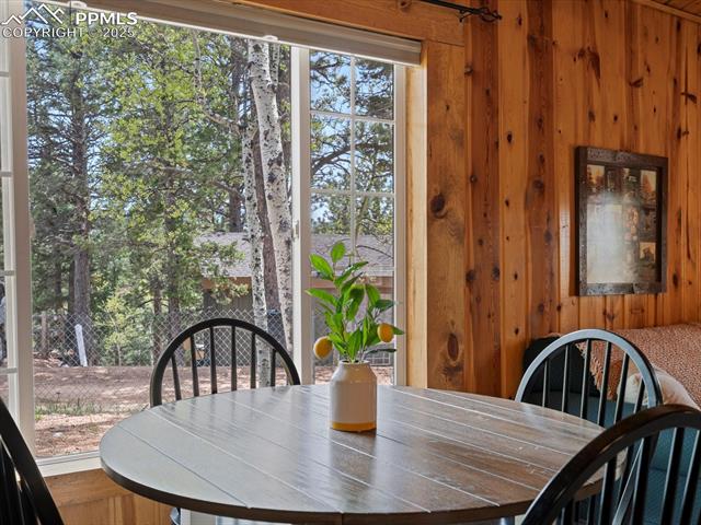 MLS Image for 103  Alpine  ,Woodland Park, Colorado