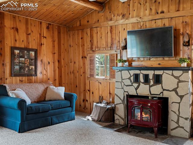 MLS Image for 103  Alpine  ,Woodland Park, Colorado